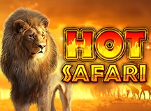 Hot Safari
